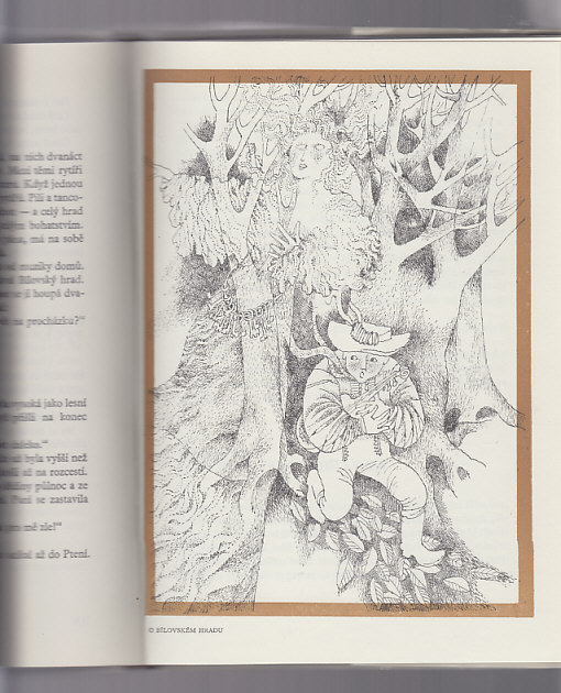 Devětkrát les, třikrát ves / lidové pověsti z Hané