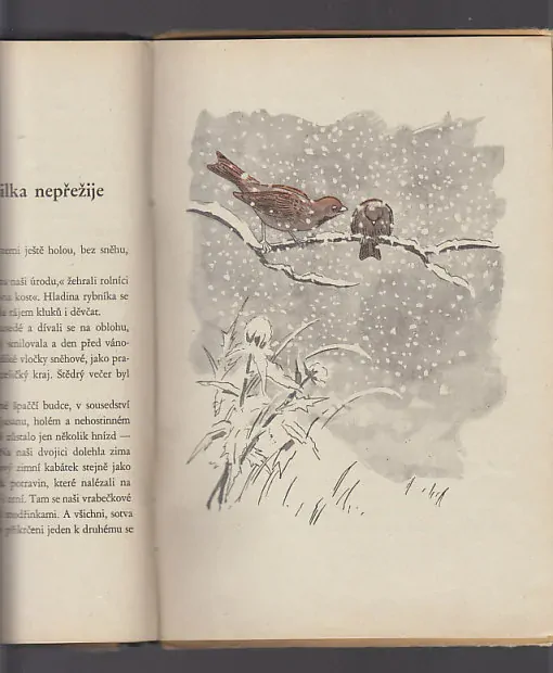 Příhody vrabce Čim - Čima