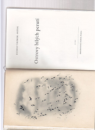 Ostrovy bílých perutí