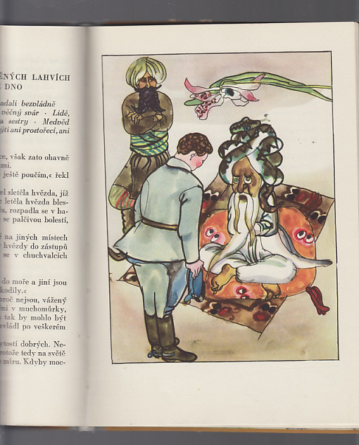 Vojáček  Hubáček / podivuhodné příhody českého vojáka ve světové válce