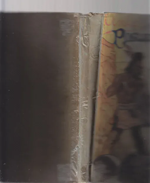 Poslední Mohykán