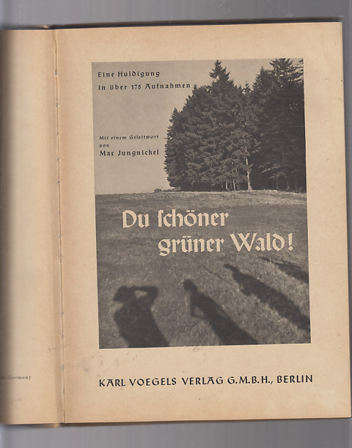 Du fchöner grüner Wald