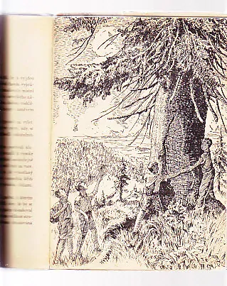 Hoši s Bílé skály