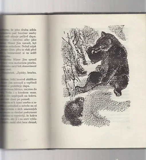 Rosomák - Běs kanadských lesů