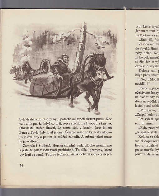 Šedokrčka a jiné povídky