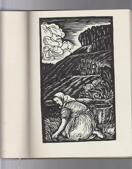 Verše starého ještěra