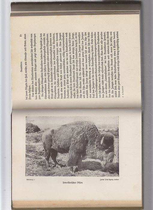 Im Zauber des Tierlebens, Bücherfreunde -V magii zvířecího života, knižní přátelé 