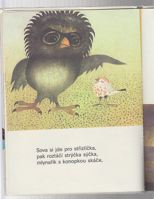 Pohádka o tom jak přišla kukačka o chocholku