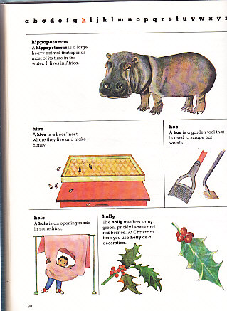 Childrens first dictionary