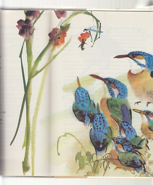 Rybaříci na Modré zátoce