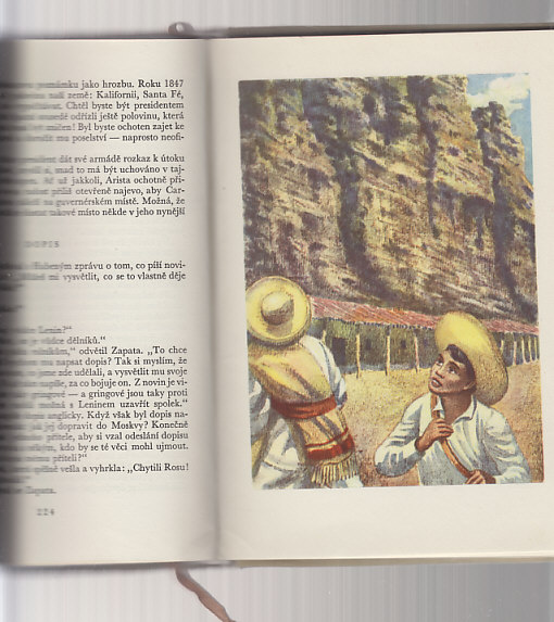 Trini / příběh indiánského chlapce