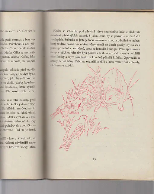 Příhody vrabce Čim - Čima