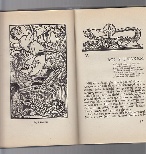 Čisté dospívání