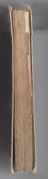 Pro čest a slávu / román pro mládež z doby švédského obležení Brna 