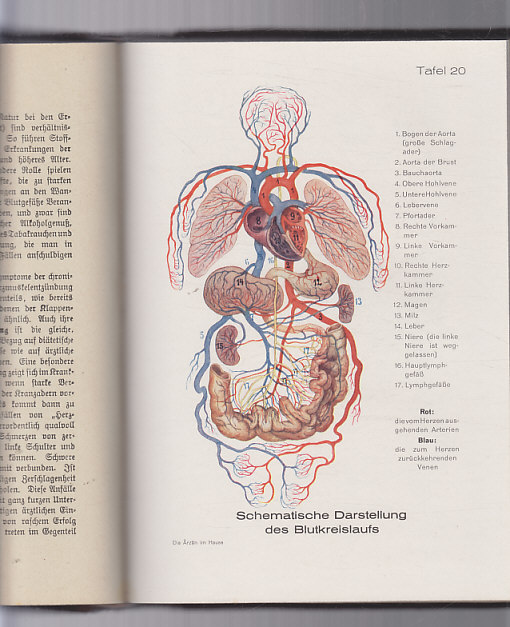 Die Ärztin im Hause I.II.díl
