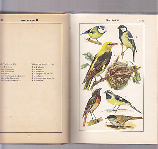 Diccionario ilustrado Bildwörterbuch