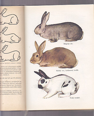 Tisíc dobrých rad mladým včelařům, holubářům, králikářům, chovatelům, meteorologům