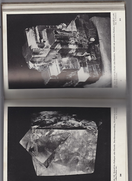 Wunder der Grossen und Kleinen Welt