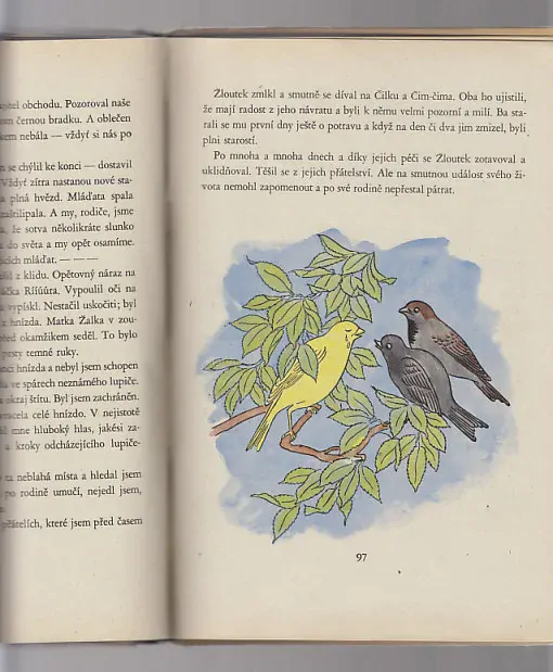 Příhody vrabce Čim - Čima