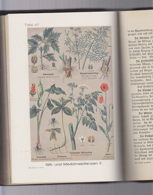 Die Ärztin im Hause I.II.díl