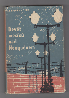 Devět měsíců nad Neuquénem