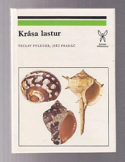 Krása lastur