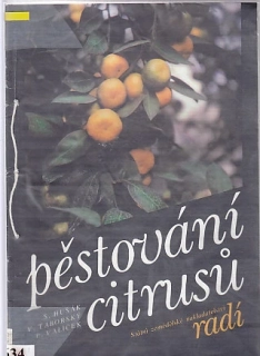 Pěstování citrusů