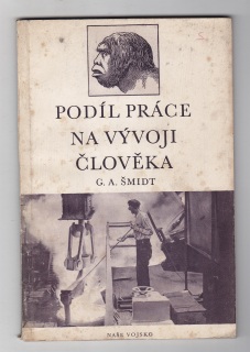 Podíl práce na vývoji  člověka