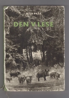 Den v lese