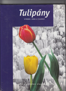 Tulipány - symbol jara a slunce
