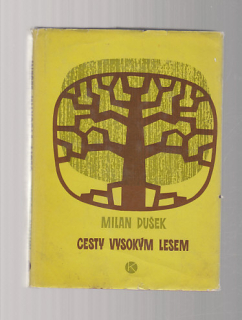 Cesta divokým lesem