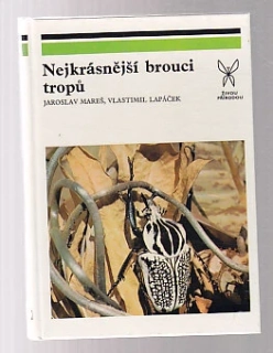 Nejkrásnější brouci tropů