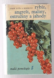 Malá pomologie 5 / Rybíz, angrešt, maliny, ostružiny a jahody