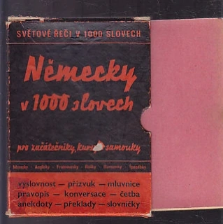 Německy v 1000 slovech