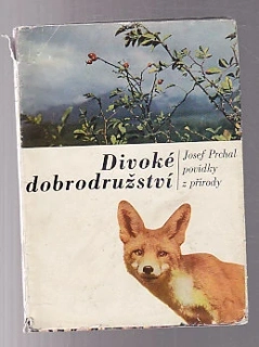 Divoké dobrodružství - povídky z přírody