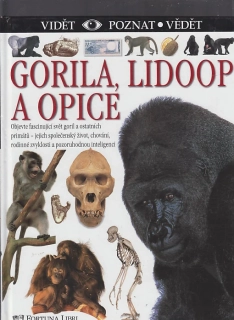 Gorila, lidoop a opice