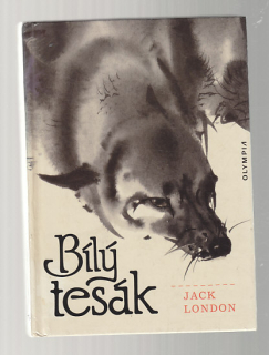Bílý tesák