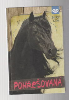 Pohřešovaná