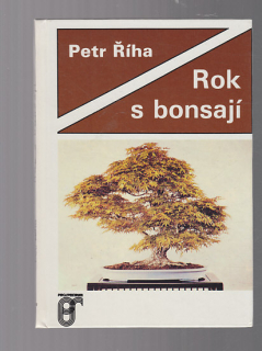 Rok s bonsají