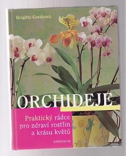Orchideje 