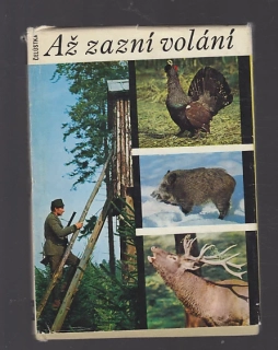 Až zazní volání