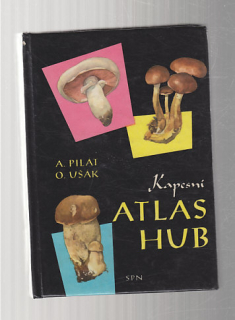 Atlas hub