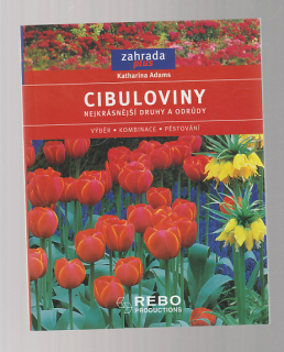 Cibuloviny / nejkrásnější druhy a odrůdy