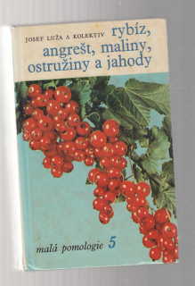 Rybíz, angrešt, maliny, ostružiny a jahody