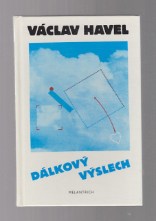 Dálkový výslech