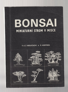 Bonsai miniaturní strom v misce