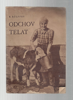 Odchov telat