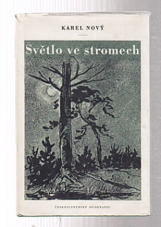 Světlo ve stromech