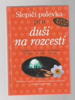 Slepičí polévka pro duši na rozcestí