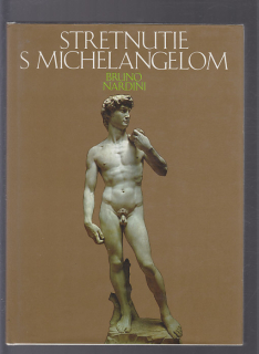 Stretnutie s Michelangelom